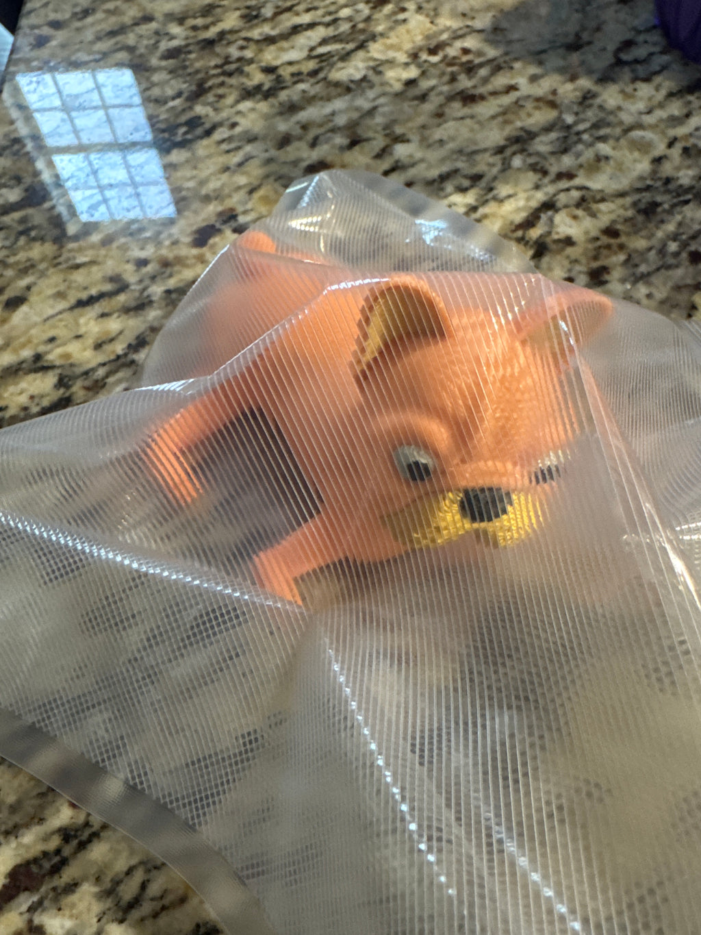 Articulated French Bulldogs