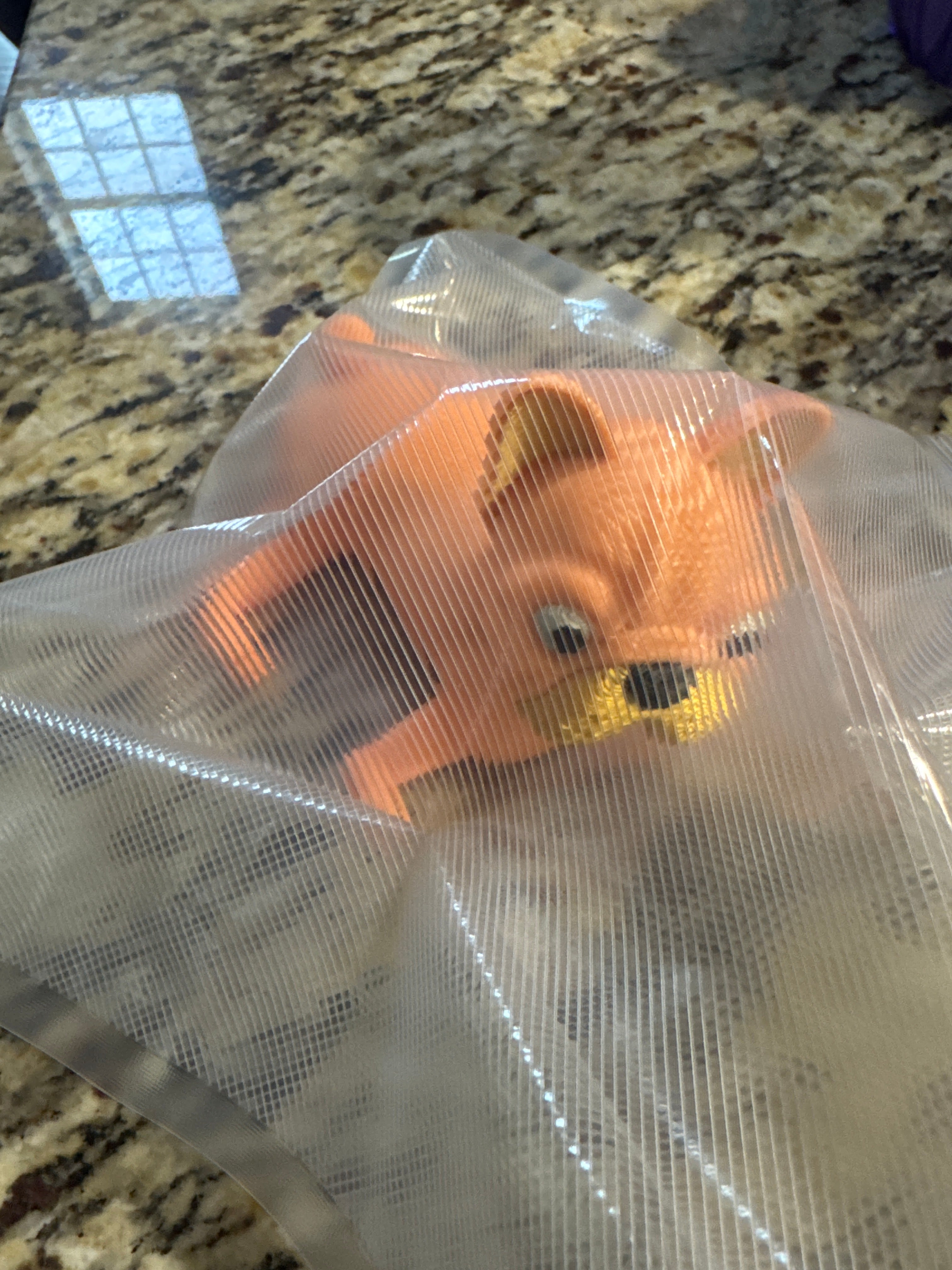Articulated French Bulldogs