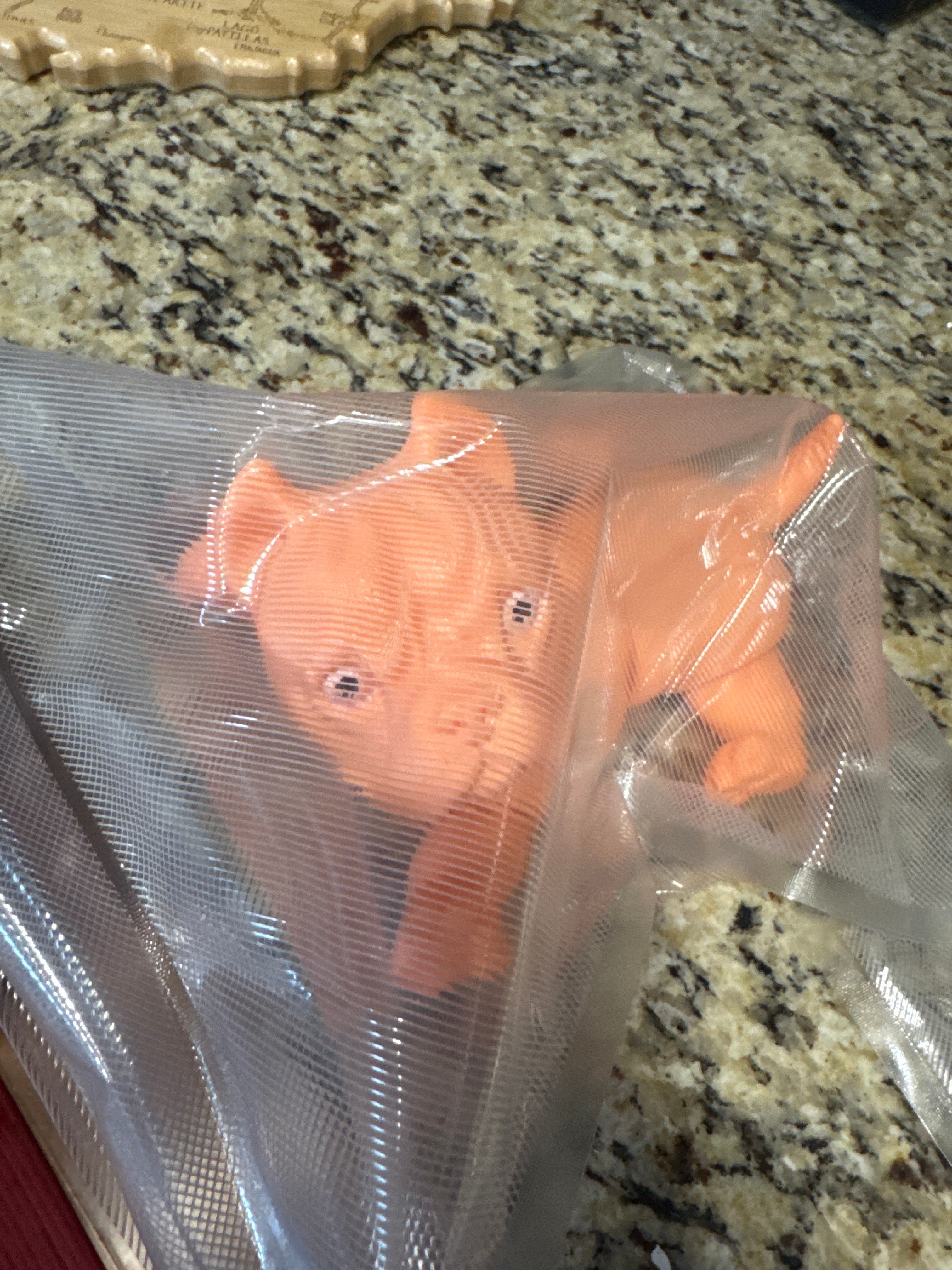 Articulated French Bulldogs